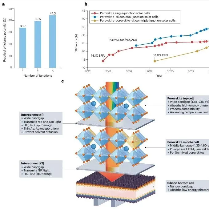 新加坡国立大学侯毅最新Nature Reviews Clean Technology：基于钙钛矿的多结太阳能电池
