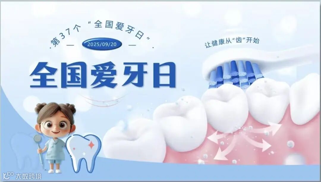 口镜怎么关注口腔健康，共筑灿烂笑容：牙科常用医疗器械归类指南_https://www.jmylbn.com_新闻资讯_第2张