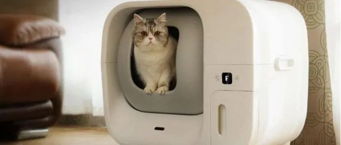 获百万美元融资，一度售罄，国产智能猫砂盆风靡海外 | 品牌案例