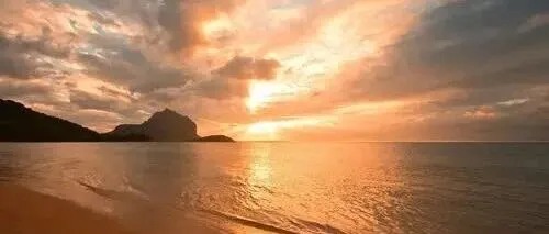 从西贝的 “税务筹划” 看增值税适用的几个误区