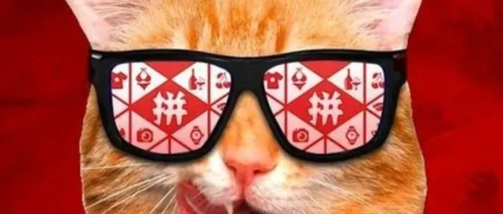 拼多多平台优惠券全解析：类型、获取与使用