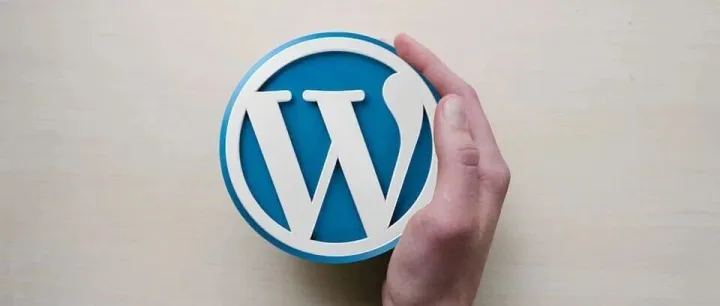 为什么wordpress成为了外贸独立站建站系统的首选？