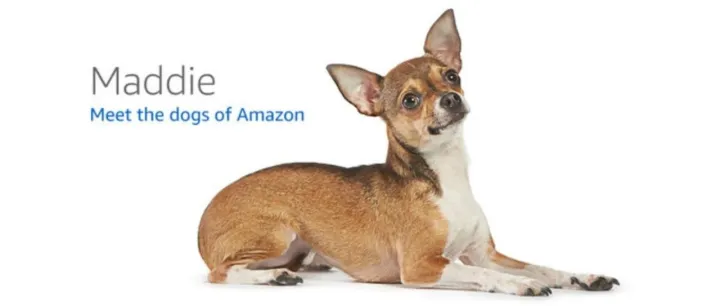 用一条提示词，让AI帮你分析亚马逊用户评论｜外贸人必备的竞品洞察工具