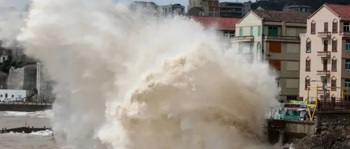 “桦加沙”！正面袭击华南港口：码头全面停止闸口操作服务！