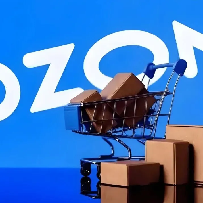 Ozon新手选品建议：五大类目推荐+五大选品避坑指南