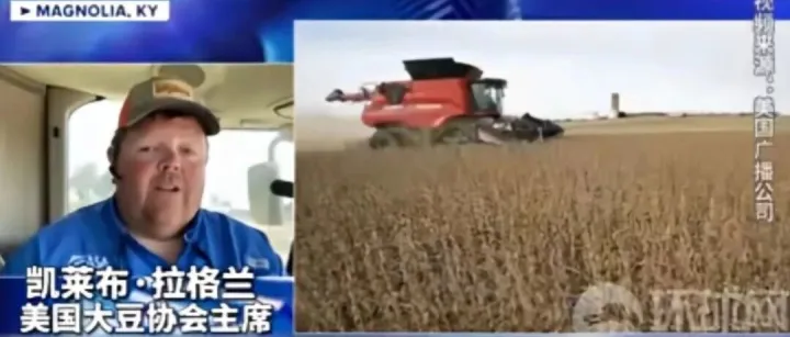 中国订单至今为零，巴西收获240万吨订单，美国豆农痛苦喊话特朗普