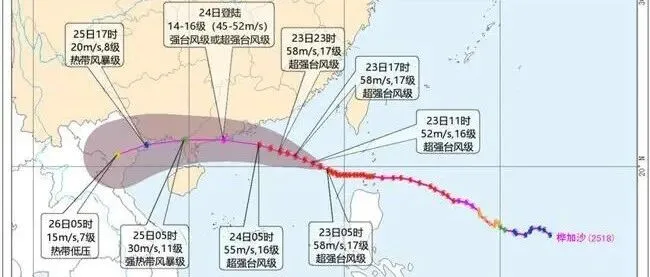 风王“桦加沙”来袭，港口停摆，TK、Temu、虾皮紧急通知…