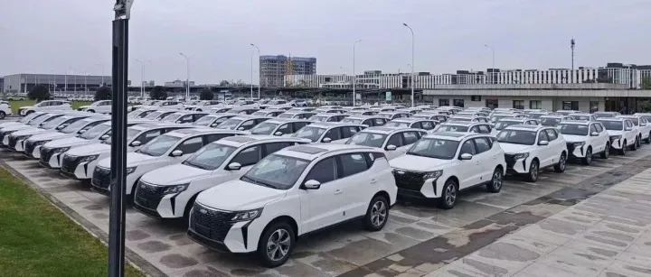 African friends who want to <em>make</em> <em>money</em> in China