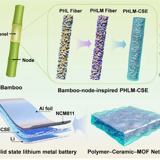 浙江理工大学胡毅教授AFM：具有分层离子通道的仿生竹节结构复合电解质，助力安全高性能固态锂金属电池