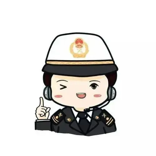 “危包证”的办理流程和具体要求