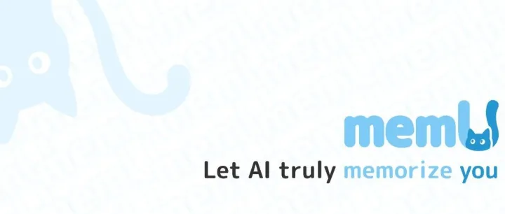 <em>Memory</em> is King。