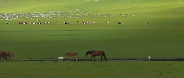 我感觉明年，破2个亿不是问题