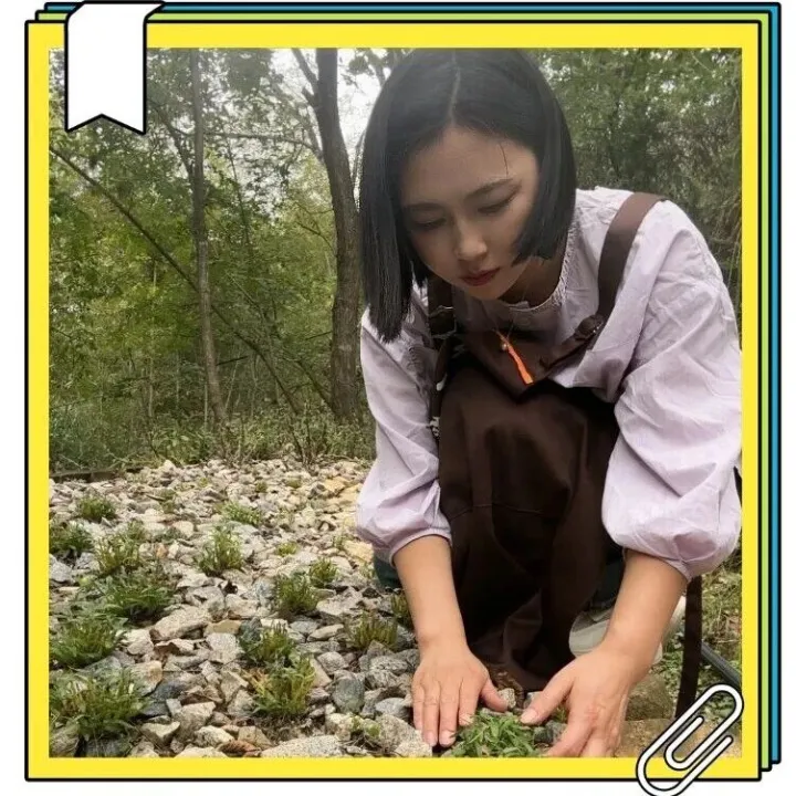 石斛这场"骗局",到底忽悠了多少人！