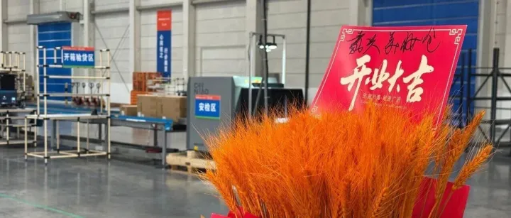阿里国际站物流联合菜鸟升级中心仓！省成本+快发货+旺季发货不打烊！