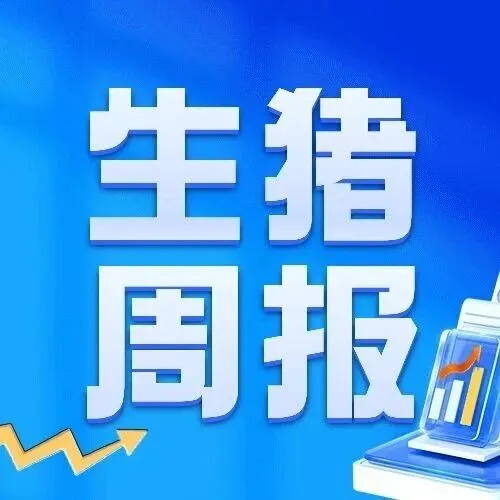 周度报告0926 | 生猪：供给压力持续释放，期现共振下跌