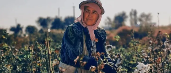 突发！印度财政部：即日起至9月30日暂停征收棉花进口关税