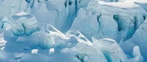 从广州海运家具到新西兰，主要的运输家具种类有哪些，胜肮国际海运，在这个行业中运营多年。