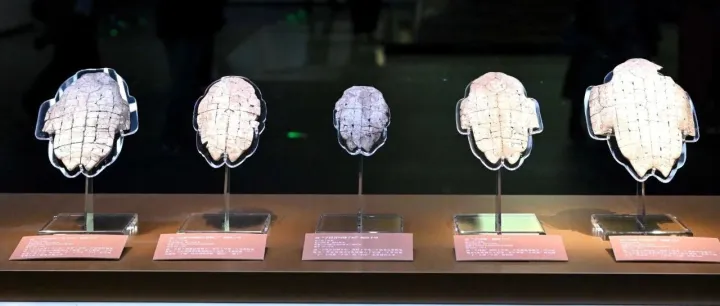 Berlin Symposium Advances Oracle Bone Studies