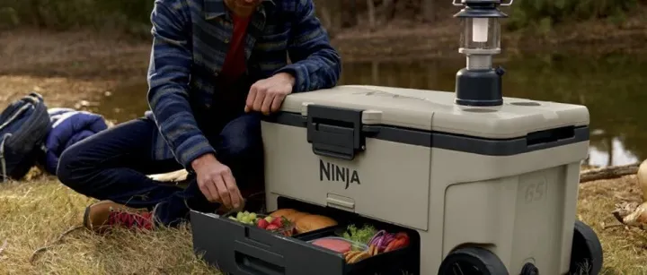 30天爆卖2.5万件！国产老牌凭冷藏箱逆袭，市值飙升至160亿美元 | 品牌出海