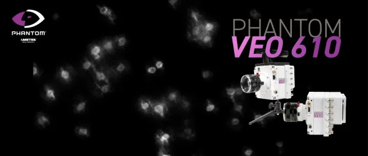 揭秘脑内毫秒级“对话”：高速电压成像技术实现数百万神经元电压同步成像