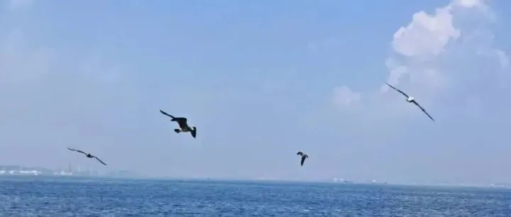 群贤毕至！飞天诚信出席TC28/SC17工作会议