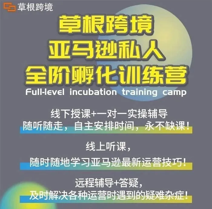 亚马逊私人全阶实操孵化训练营——1对1实操辅导，从小白到大卖