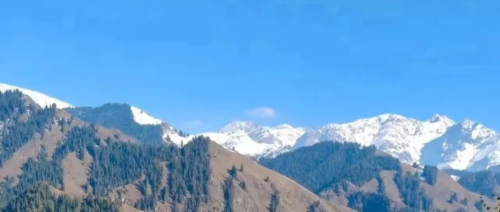 销售就应该硬气一点，咱们又不是骗子。