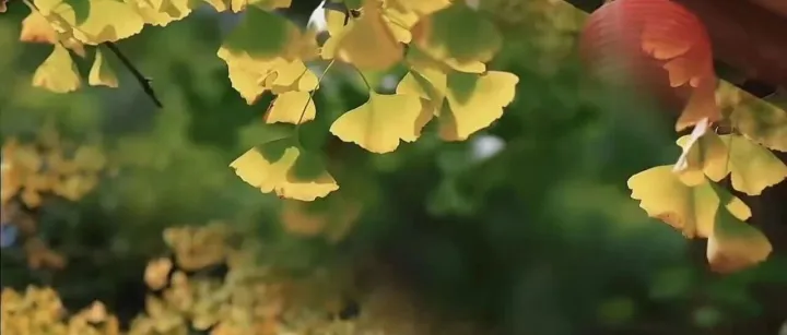 外贸太难了，十几个同学出口破亿