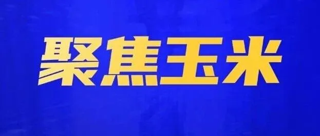 玉米新粮预期增产   陈粮停拍“让位”