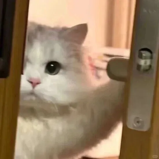 [口语]“开门见山”用英文怎么说？