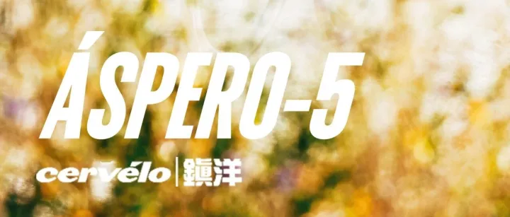 Cervelo Aspero-5 配置表