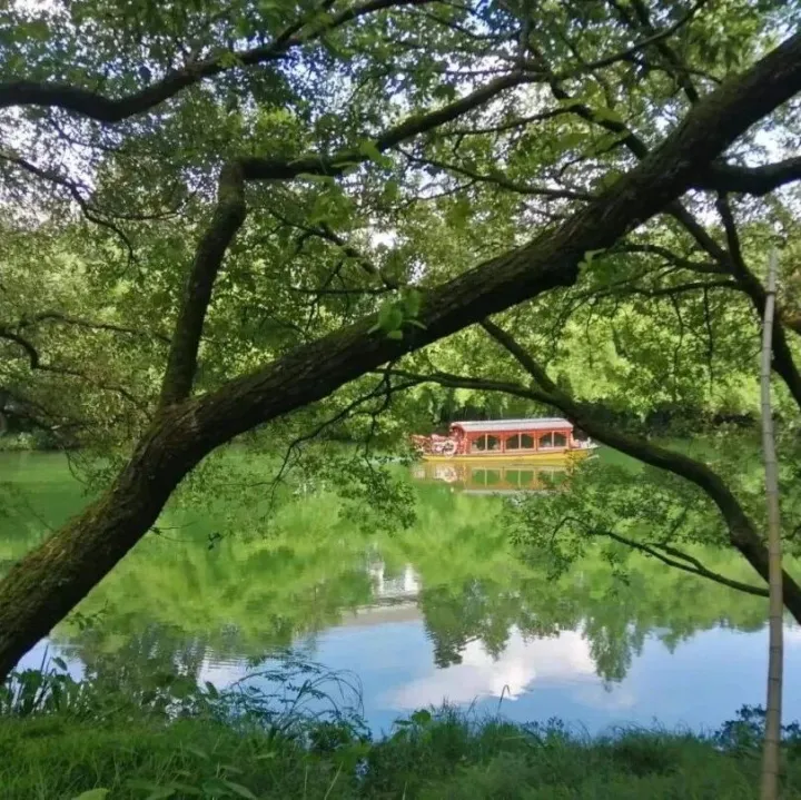 电子印章这样申请