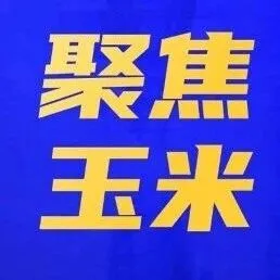 玉米短期供应再收紧  市场行情受提振