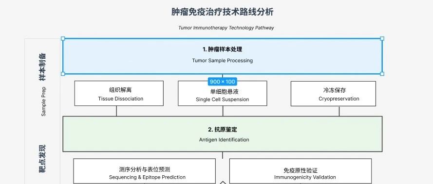 只要4步！用AI自动生成顶刊级技术路线图（可直接套用）