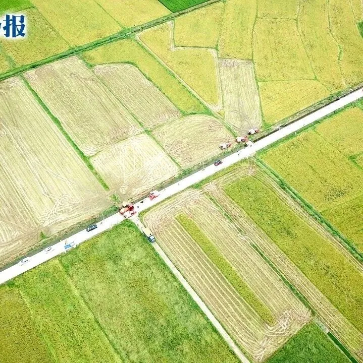 从“一粒种子”到“万里海疆” 三亚崖州湾崛起科创新高地