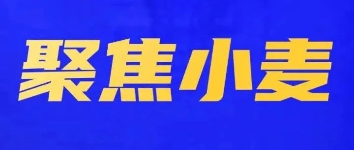 小麦“金九”行情先跌后涨，“银十”麦市将欲何往？