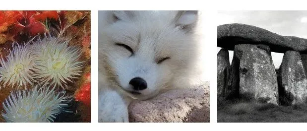 NeurIPS 2025｜何恺明MeanFlow：一步到位