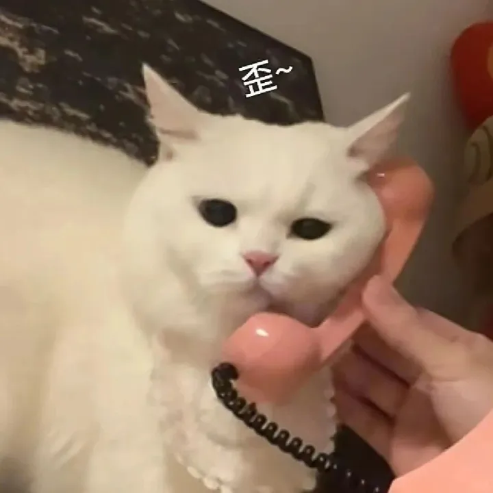 [口语]电话“打错了”用英文怎么说？