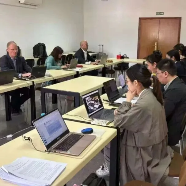 重要进展！IEC 62862-2-2熔融盐标准第六次工作组会议西班牙成功召开