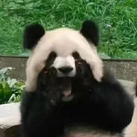 [口语]“黑眼圈”用英文怎么说？