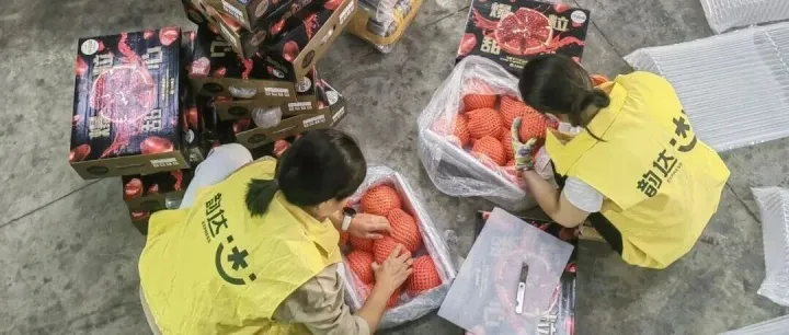 旺季服务｜乡村寄快递，水果发韵达！