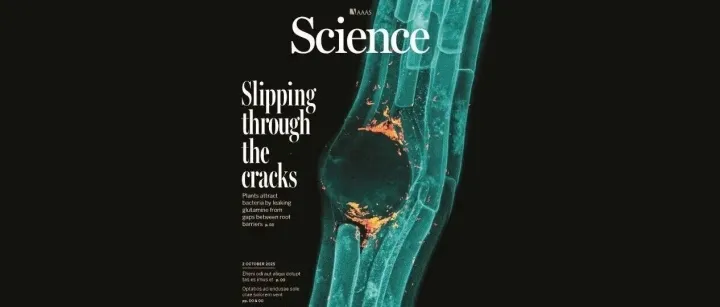 发Cell文章后回国仅5年，再登 Science 封面，解释植物根系与微生物互动的“分子密码”