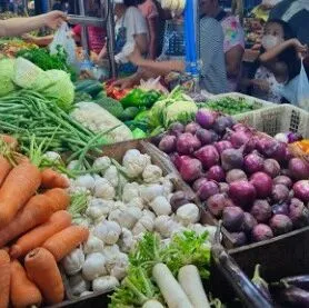 缓解物价焦虑，菲律宾有新动作：首次尝试从中国进口这类农产品