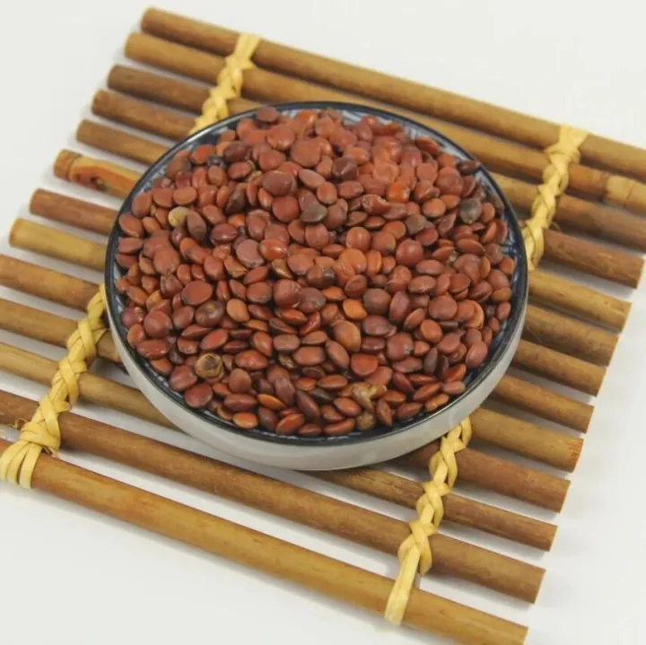 中药材产地信息及时快讯10月5日