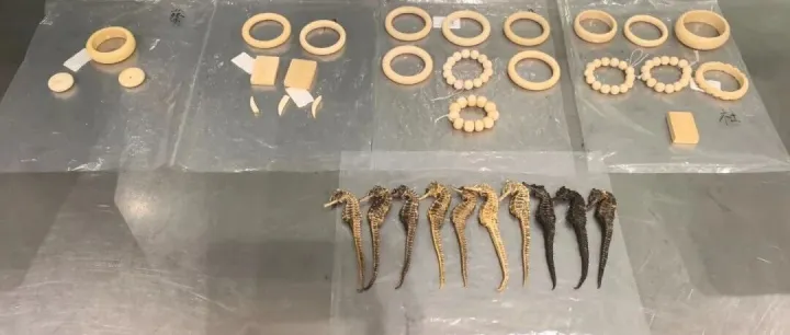 我查完你的查你的，关关心里有数，控场能力非常强