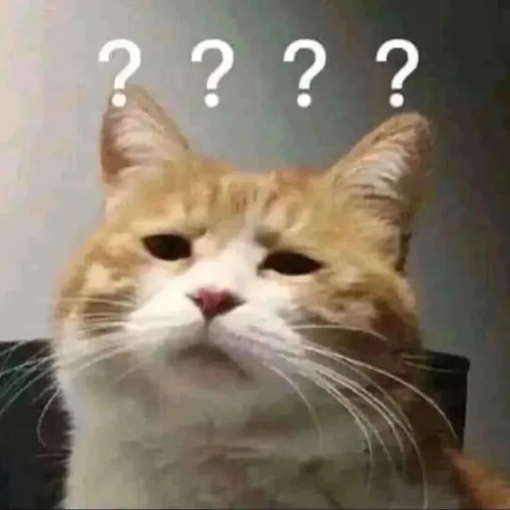 [口语]“你什么意思”用英文怎么说？