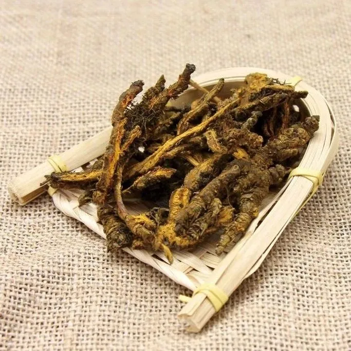 中药材市场快讯10月7日