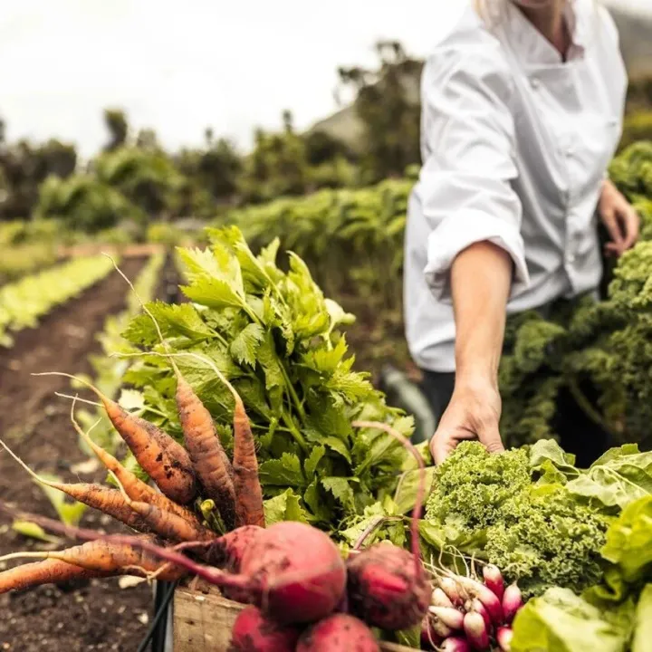 Agriculture & Food Tube 农业与食品行业外籍人才微信群