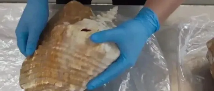 本来应该从从容容轻松过关