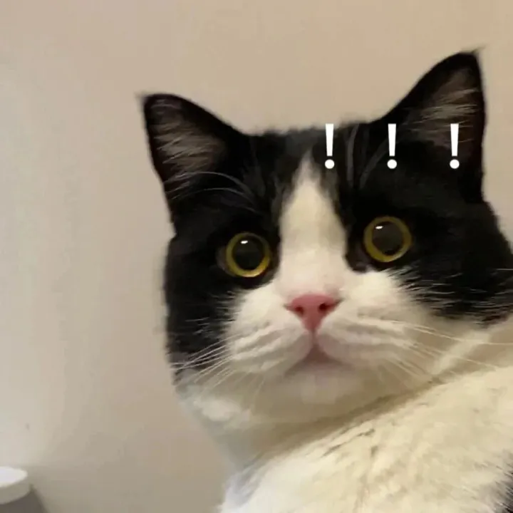 [口语]“惊呆了”用英文怎么说？